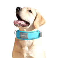 Collier pour chien de luxe en alliage d'acier inoxydable et nylon réfléchissant, rembourré et doublé, largeur 38 mm, avec boucle à ardillon – Nouveau design, vente chaude du fabricant