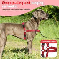 Harnais et laisse pour chien en nylon solide, réglable, respirant, réfléchissant, avec clip frontal, gilet de poitrine anti-évasion et résistant aux bris pour la promenade