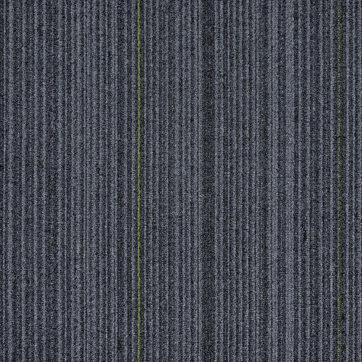 Grey11