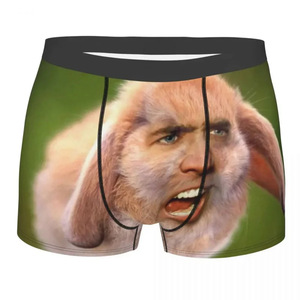 OEM Manufacturer Dropping Shipping Business Underwear Men Print on Demand All Over Digital Print Underpants Personalized <strong>Boxer</strong> - Product Image 3
