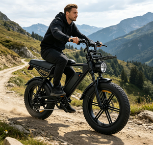 Vélo <span class=keywords><strong>électrique</strong></span> de montagne sans balais 36V 12Ah 250W, cadre en alliage d'aluminium 20 pouces, moteur de moyeu arrière 6 vitesses, frein à disque, batterie lithium - Product Image 1