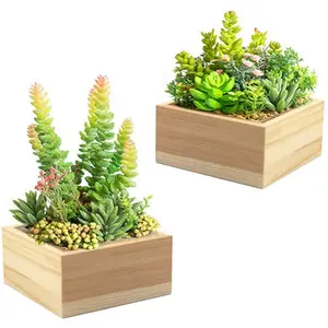 Forniture da giardino personalizzate in fabbrica OEM fioriera in legno scatola vasi da giardino per fioriere succulente piccola fioriera quadrata