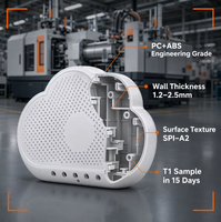 Moulage par injection sur mesure en ABS, PC, PP pour boîtiers électroniques de précision industriels, pièces de machines et de fabrication, moules de précision