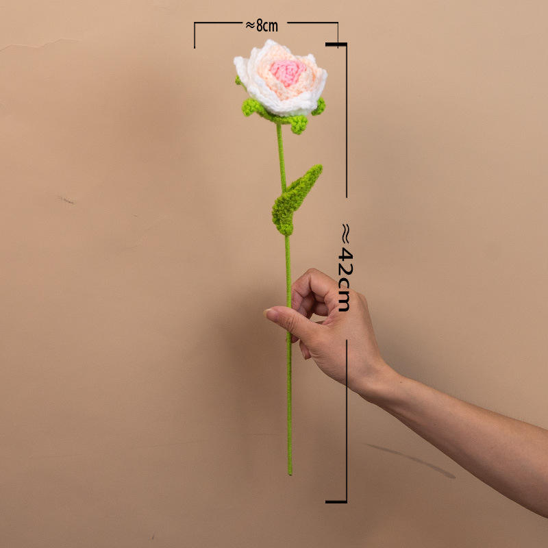 สีชมพูไล่ระดับ