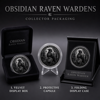 Pièce de monnaie commémorative 3D en relief personnalisée en gros, Pièce de défi gothique en obsidienne Raven Wardens, Cadeau souvenir, Fabrication OEM ODM