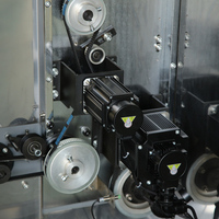 Machine d'emballage d'oreiller de bonbons au caramel dur de gelée de caramel sac en plastique petite machine à emballer de bonbons sucrés