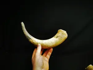 Par de cuerno largo montado en la pared de búfalo real hecho a mano con kit de montaje para decoración de tema occidental a precio asequible - Product Image 4