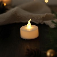 Lampe LED CR2032 à effet flamme vacillante réaliste, idéale pour l'éclairage d'ambiance des serres, patios et terrasses