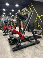 Appareil de musculation dorsal professionnel à double fonction, à charge libre, pour exercices debout et assis