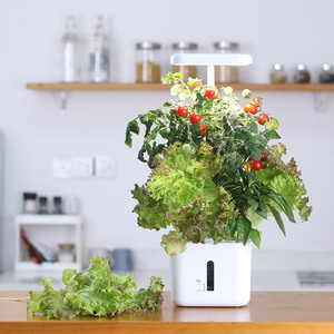 Kit de sistema de <span class=keywords><strong>cultivo</strong></span> hidropónico de 4 Vainas para jardín <span class=keywords><strong>interior</strong></span> <span class=keywords><strong>con</strong></span> luz de <span class=keywords><strong>cultivo</strong></span> LED y kit de vainas, kit de germinación de plantas <span class=keywords><strong>con</strong></span> bomba de agua de 1,4 l - Product Image 2