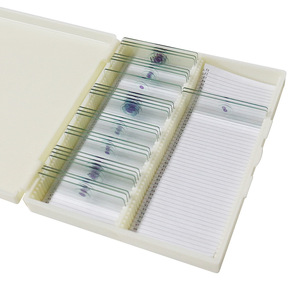 Producción de portaprobos de vidrio, departamentos de investigación científica, trabajos de investigación de estudiantes de posgrado de la escuela de medicina, envío de muestras. - Product Image 3