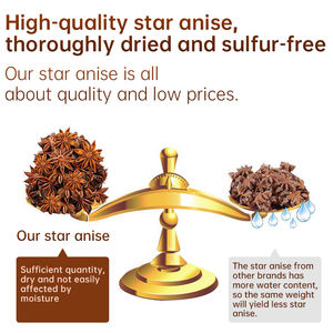 Anis étoilé séché 100% pur en granulés pour <span class=keywords><strong>épices</strong></span>, herbes, produits de haute qualité en provenance du Guangxi, Chine, livraison directe - Product Image 3