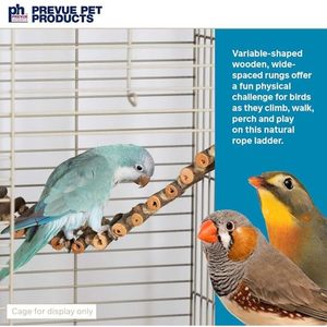 Premium prodotti per animali domestici naturali scala di corda uccello giocattolo di legno scale di arrampicata attività di fissaggio per la gabbia per uccelli tono terra marrone - Product Image 4