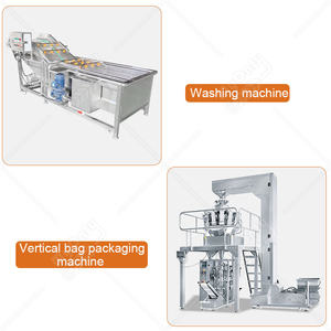 Machine de surgélation rapide individuelle MY Sweet Corn 3 tonnes, congélateur tunnel IQF pour croissants, fraises et <span class=keywords><strong>crevettes</strong></span> - Product Image 5