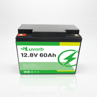 Batterie au lithium rechargeable sans entretien 12,8 V 50 Ah 60 Ah 65 Ah LiFePO4 pour systèmes d'alimentation électrique solaire