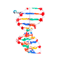 Grand modèle de structure en double hélice d'ADN en plastique Démonstration de paires de bases dans l'enseignement des sciences biologiques