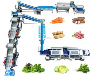 DZJX खजूर सब्जी धोने की मशीन सॉर्टिंग और पैकिंग मशीन ब्लैंचिंग लाइन गुणवत्ता आश्वासन फल सफाई मशीन ओजोन