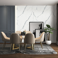 Panneaux muraux et de plafond en PVC marbré, feuilles de marbre UV, accessoires d'intérieur, vente chaude