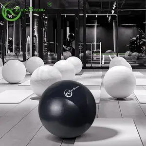 Exercise Ball ZHENSHENG Eco Friendly Exercise Swiss Gym Ball