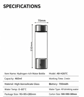 Bouteille d'eau à hydrogène SPE PEM avec logo personnalisé, 450 ml, 3000 ppb, générateur d'ions H2 en verre, ioniseur rechargeable, alimenté par USB, CE RoHS