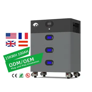 150ah 12,5 kwh 10kwh 200ah 14s bms 100a montage mural 20ah stockage à domicile 15kwh 48v batterie au lithium