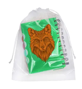 Clear LDPE heavy duty plastic drawstring bag with cotton draw string poly bag