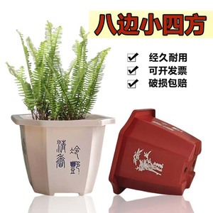 Maceta octogonal pequeña de plástico, duradera, para plantas verdes de escritorio y uso en jardín - Product Image 1