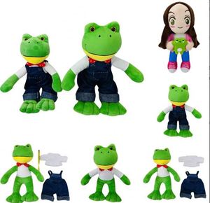 En gros, Jouets en peluche de couple de grenouilles, Grenouille Gu Gua la solitaire, célèbre sur Internet, de la série Mr Long-legged, Jouets en peluche d'animaux - Product Image 3