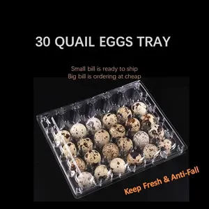 30 Cells Plastic Quail Egg Tray OEM ODM In High Quality Whole Sale In China LOGO PET/PVE/PET Customized Recyclable