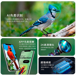 Nouvelle mangeoire intelligente pour animaux de compagnie et <span class=keywords><strong>oiseaux</strong></span> sauvages, extérieure, étanche, reconnaissance IA, énergie solaire, caméra sans fil, équipement d'alimentation pour animaux de compagnie, 1600g - Product Image 2