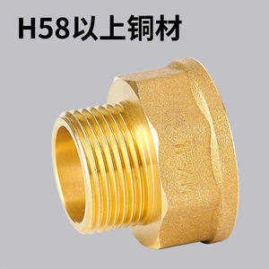 Collection complète de raccords filetés mâles et femelles pour tuyaux d'eau, y compris des réducteurs et des raccords, 1 pouce, jardin - Product Image 5