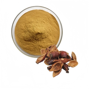 Factory Supply Wholesale Price High Quality <strong>Cherokee</strong> <strong>Rose</strong> Extract Powder - Product Image 3