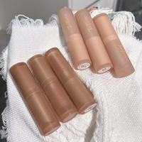 Lote de Lápices Labiales en Tonos Nude, Acabado Mate Sedoso, para Fiestas, Maquillaje Labial Retro