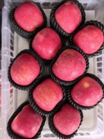 Groothandel verse Fuji appels, zoet, knapperig, vers fruit, premium kwaliteit, boerderijvers, bulk export leverancier