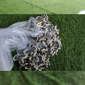 Factory Supply <span class=keywords><strong>Cast</strong></span> <span class=keywords><strong>Net</strong></span> Angeln Wurfnetze Kunden spezifische Größe Lead Sinker <span class=keywords><strong>Cast</strong></span> Netting - Product Image 4