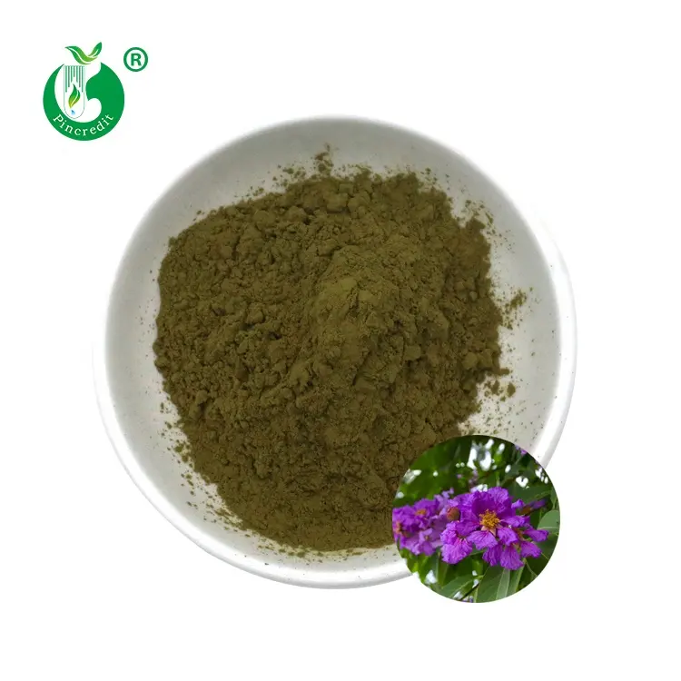 Pure Corosolic Zuur Banaba Leaf Extract Poeder