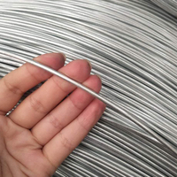 Accessoires de construction, fil de clôture à cliquet réglable pour vignoble, galvanisé, attaches en spirale pour paniers en gabions