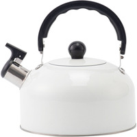 Camping Eau Bouillante Café Lait Blanc Théière En Acier Inoxydable Sifflet Bouilloire Chauffage Thé Bouilloire Cuisinière
