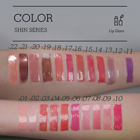 Gloss à lèvres personnalisé haute brillance, gloss liquide, fabrication en petites séries, OEM ODM, logo personnalisé, emballage, formule, couleur, design gratuit, lancement de marque