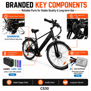 Vélo Électrique Urbain Adulte CS30 avec Moteur Sans Balais, Batterie au Lithium, Entrepôt UE, Vélo Cruiser, Vélo Cube - Product Image 5