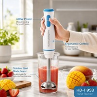 Mixeur Plongeant Professionnel de Haute Qualité pour Usine, Vente en Gros, Durable, Efficace, Haute Vitesse, pour Voiture, Restaurant, Cuisine Domestique