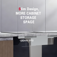 Kompor Induksi Built-in OEM dengan Ventilasi dan Penghisap Asap Terintegrasi