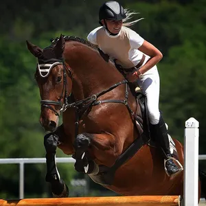 Productos para el cuidado de los caballos, almohadilla de terapia de luz roja, terapia láser equina, cinturón de terapia de luz infrarroja