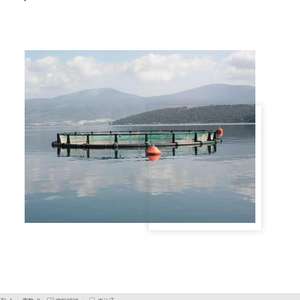 Red de jaula de plástico para granja de peces, resistente a storm pe 100, otros equipos de acuicultura planos - Product Image 1