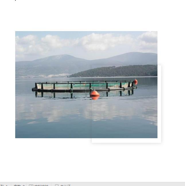 UV Protected China Aquaculture Tilapia Fish