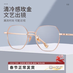 Monture de lunettes Danyang carrée en alliage de titane 33029 pour femme, verres en plastique, pont nasal standard - Product Image 5