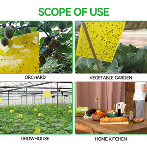 Giá rẻ bán buôn Pest kiểm soát kép hai mặt trái cây mạnh mẽ Fly bẫy lỗi Vàng dính Sticker Board siêu mạnh mẽ lực lượng dính - Product Image 5