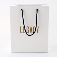 Sacs en papier personnalisés avec logo, ruban rose, pour emballages de vente au détail, bijoux, vêtements, chaussures, sacs de luxe