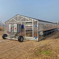 Poulailler mobile pour poulets de chair avec roues, système d'alimentation et d'abreuvement automatique, rotation des enclos, garantie 1 an