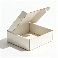 Petites boîtes en carton ondulé personnalisées pour vernis à ongles huile soins de la peau sérum cadeaux Premium impression couleur unie envoi postal personnalisé